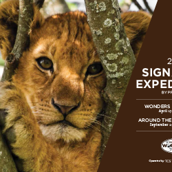 TCS World Travel brochure sample